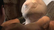 Muscular bear is prepared to endure the most intense anal punishments