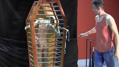 Caged-up hottie is going to reach a few orgasms too