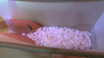 Submissive DILF endures dirty fetishes in loud sexual BDSM kinks