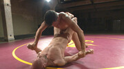 Insolent males fight and wrestle in sexual perversions