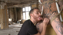 Strong cock perversions for a male slave that's restrained and submissive