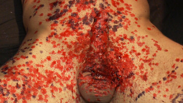 Waxed male slave endures plenty of dicks in his ruined ass