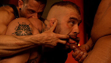 Appealing bear gets rammed by pack of male dominants in restless scenes