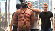 Insolent men treat male slave with perversions in merciless gangbang in public